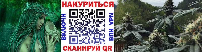 Бошки марихуана MAZAR  Купить  Приволжск 